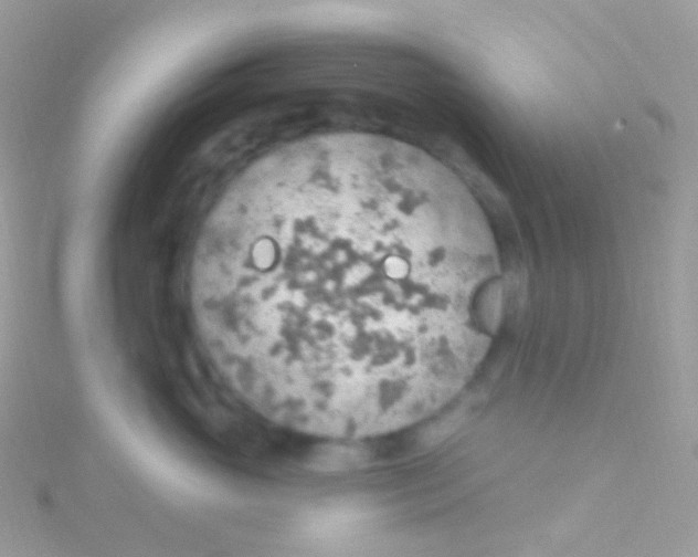 X0000115420765200911241348