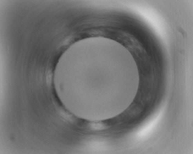 X0000115420767200911241348