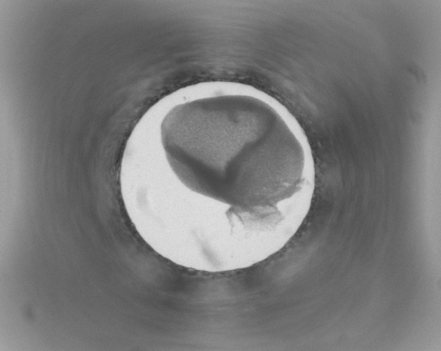 X0000115420769200911241347