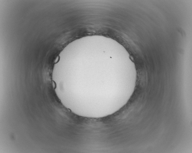 X0000115420770200911241347