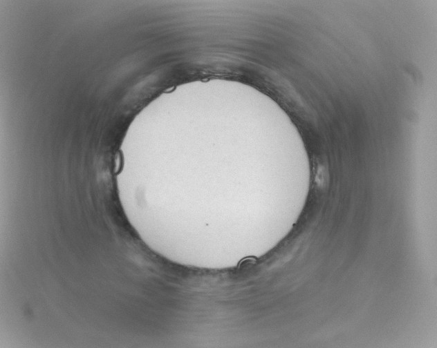 X0000115420771200911241347