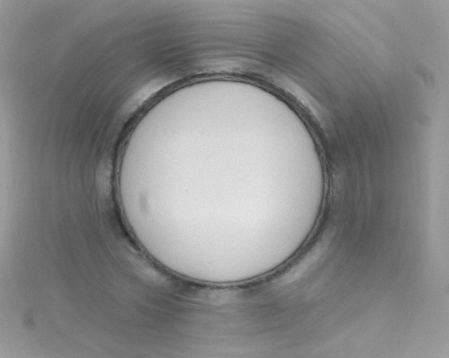 X0000115420778200911241347