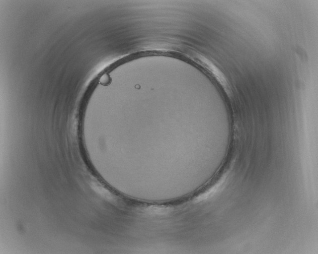 X0000115420779200911241347