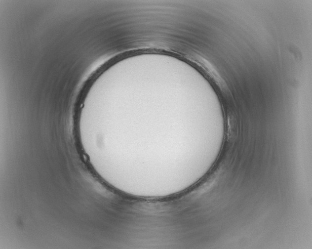 X0000115420780200911241347