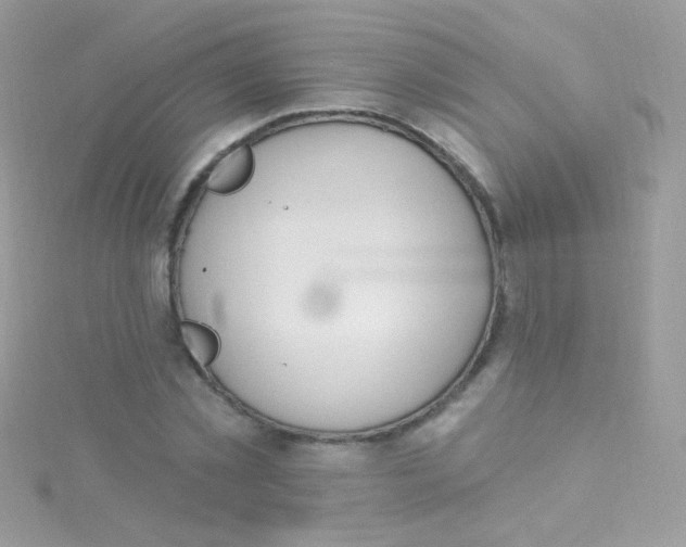 X0000115420781200911241347