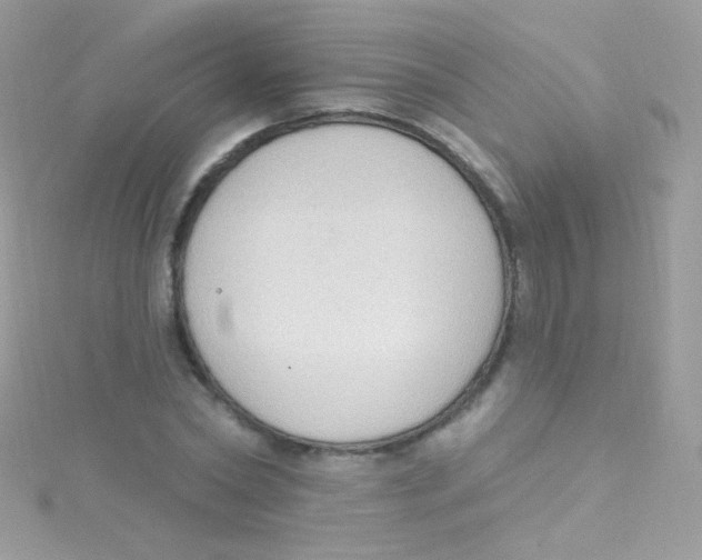 X0000115420782200911241347