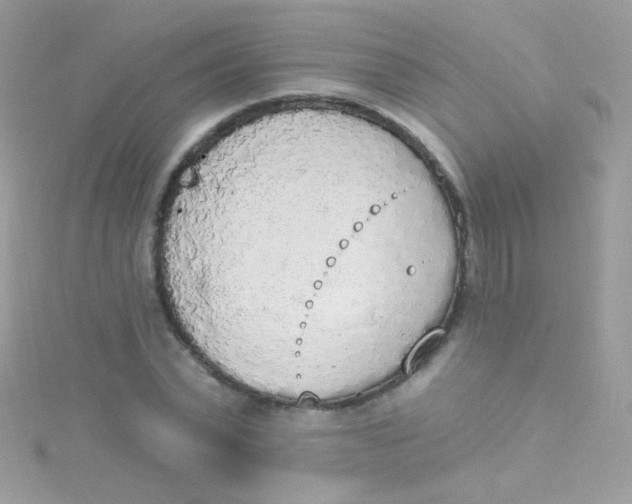 X0000115420783200911241347