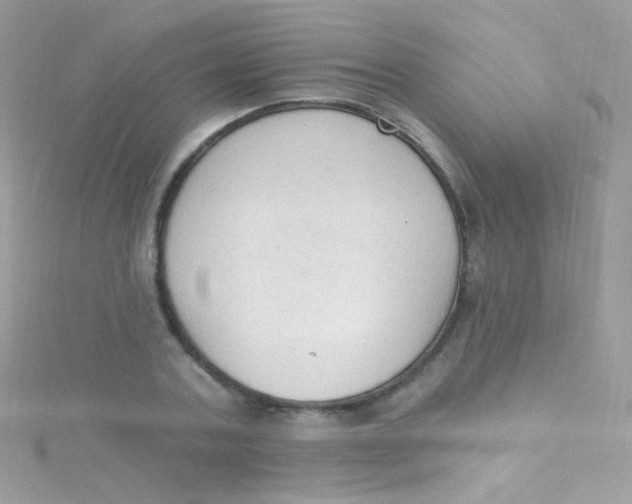 X0000115420787200911241347