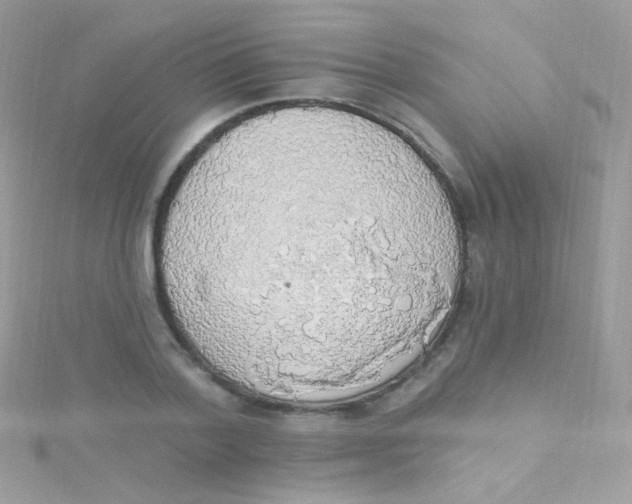 X0000115420788200911241347