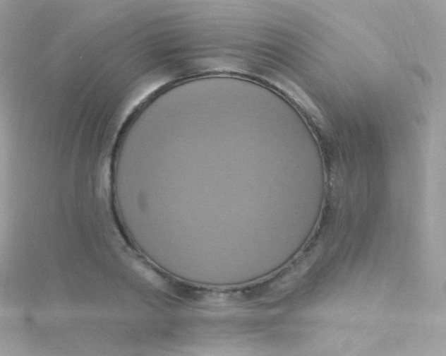 X0000115420790200911241347