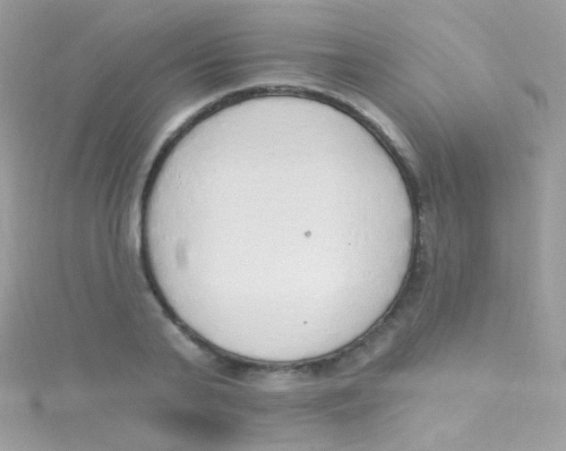 X0000115420791200911241347