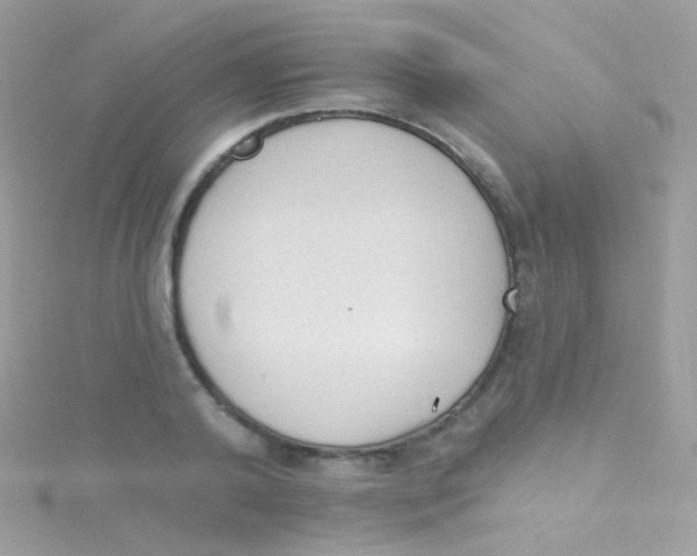 X0000115420792200911241347