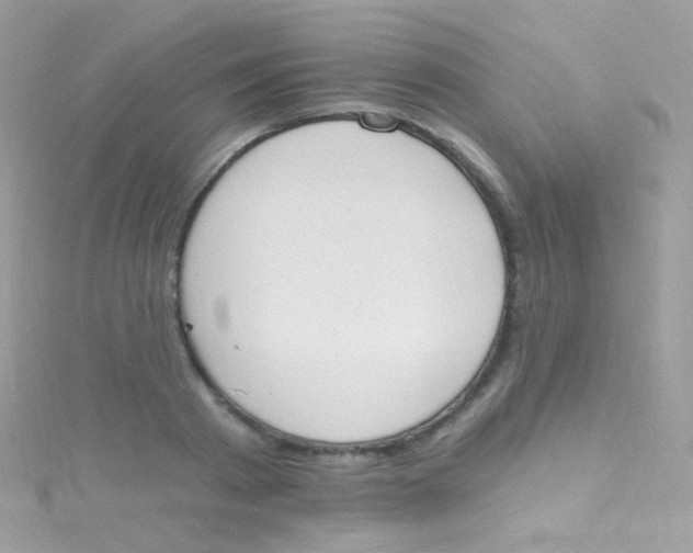 X0000115420793200911241347