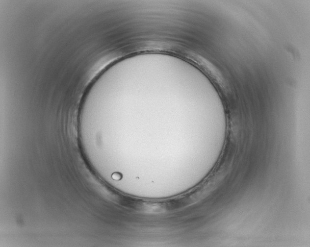 X0000115420794200911241347