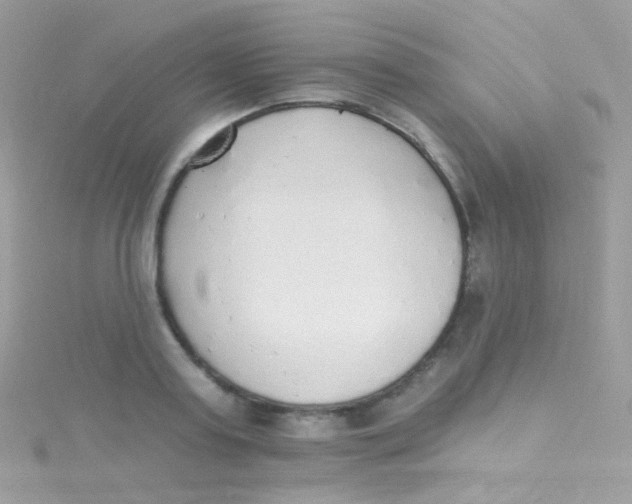 X0000115420795200911241347