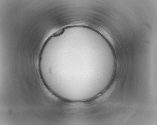 X0000115420797200911241347