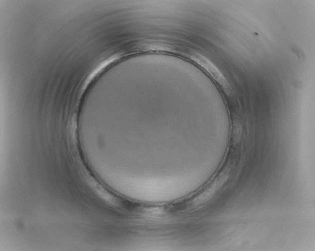 X0000115420798200911241347