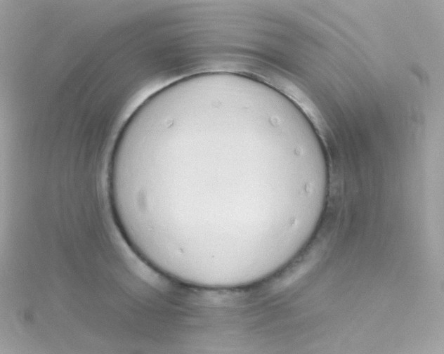 X0000115420803200911241347