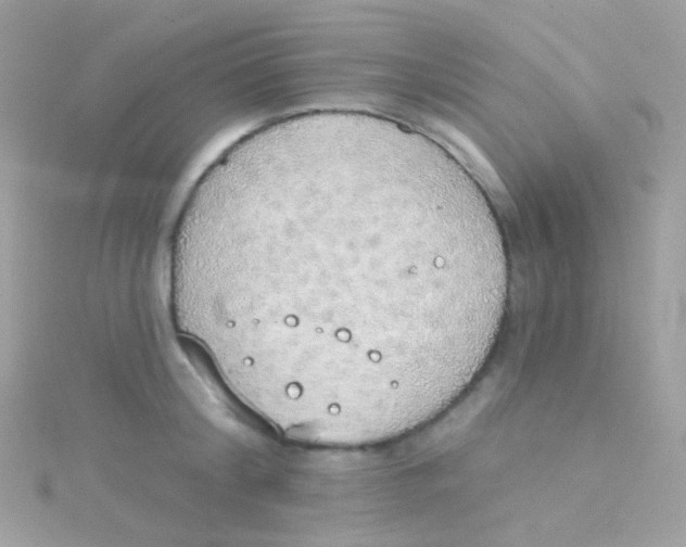 X0000115420804200911241347