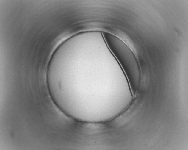 X0000115420805200911241347