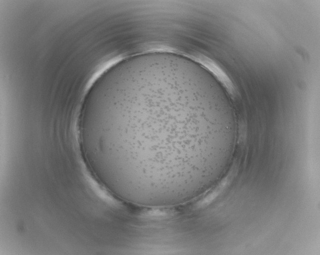 X0000115420806200911241347