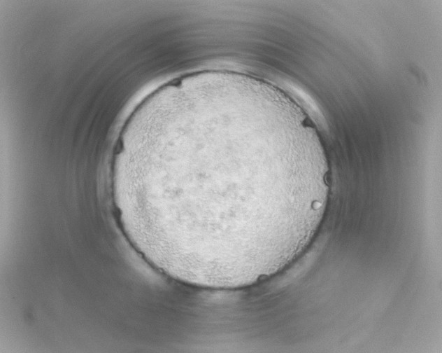 X0000115420808200911241347