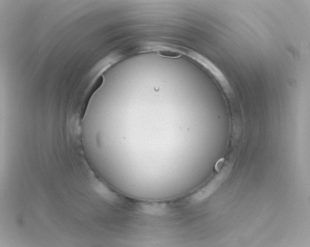 X0000115420809200911241347