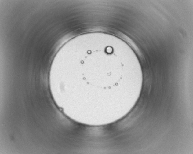 X0000115420810200911241347