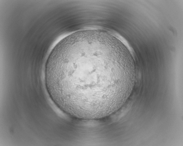 X0000115420811200911241347