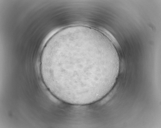 X0000115420812200911241347