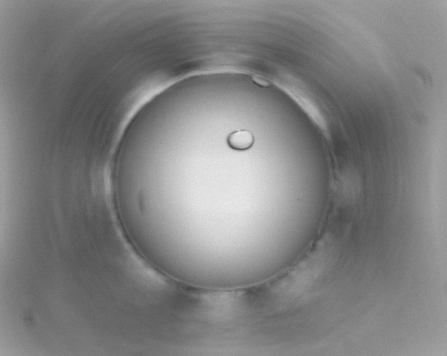 X0000115420813200911241347