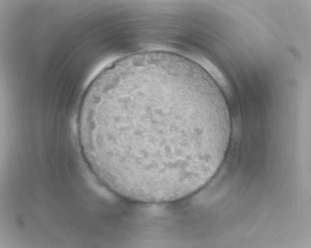 X0000115420814200911241347