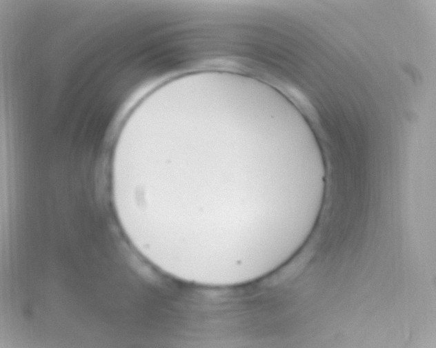 X0000115420816200911241347