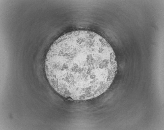 X0000115420817200911241346