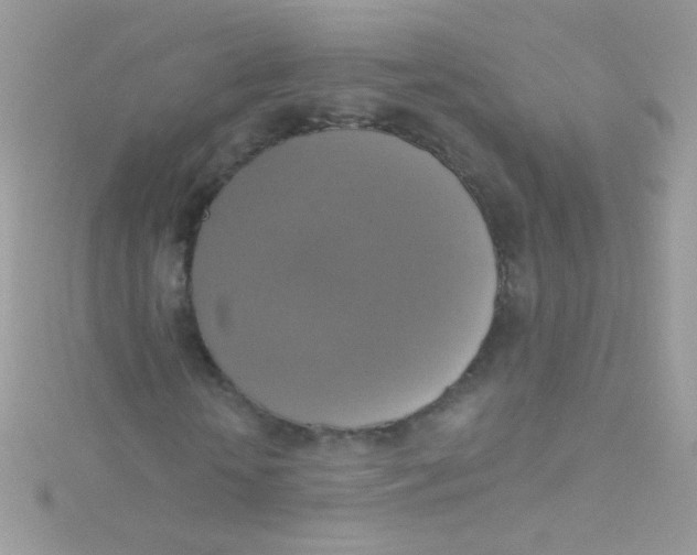 X0000115420818200911241346