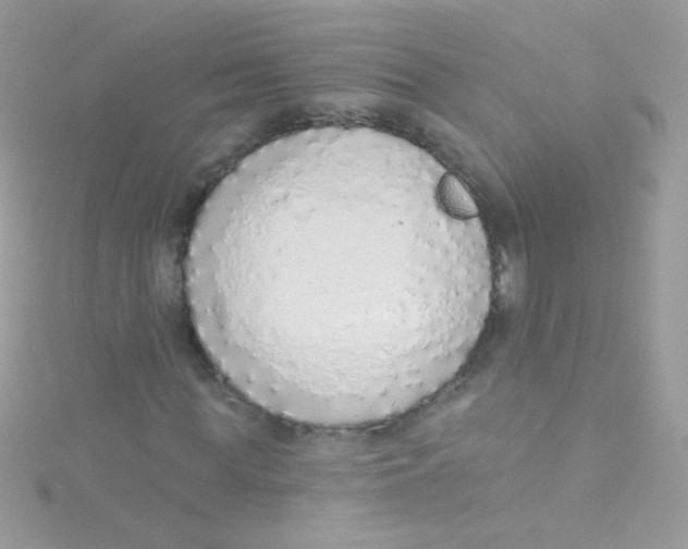 X0000115420819200911241346