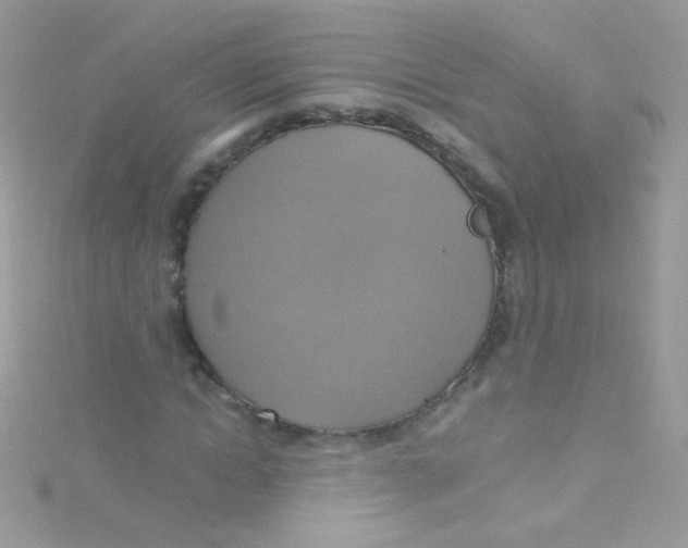 X0000115420822200911241346