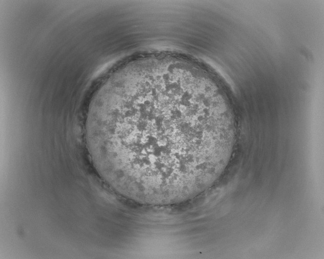 X0000115420823200911241346