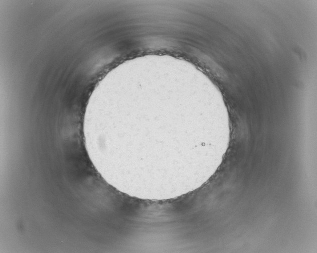 X0000115420824200911241346