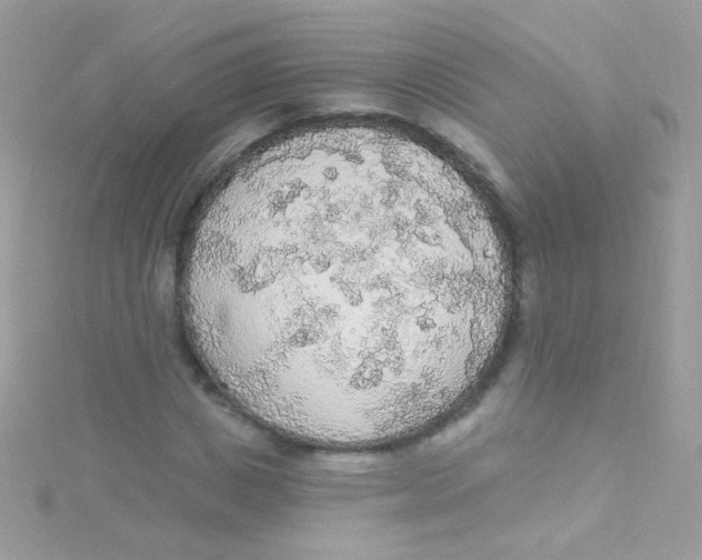 X0000115420825200911241346