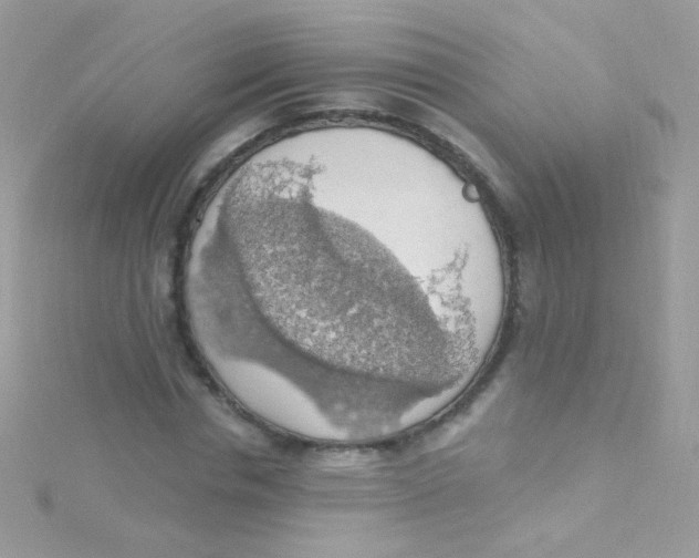 X0000115420826200911241346