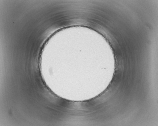 X0000115420828200911241346