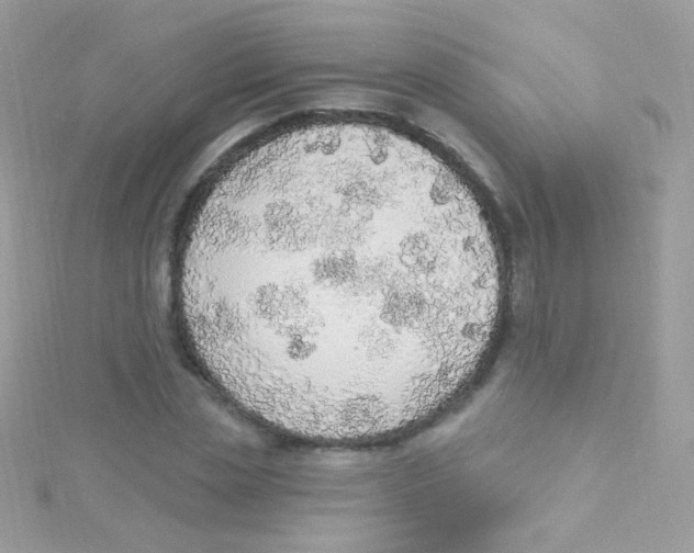 X0000115420829200911241346