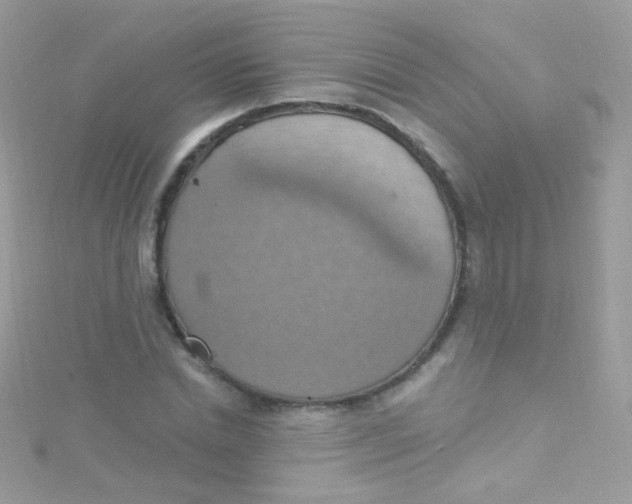 X0000115420830200911241346