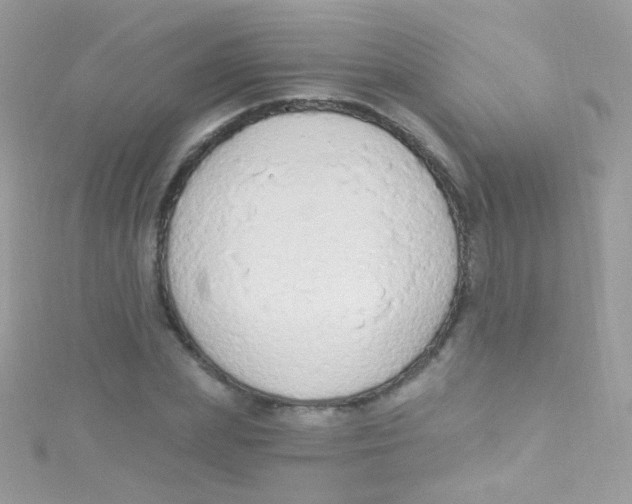 X0000115420831200911241346