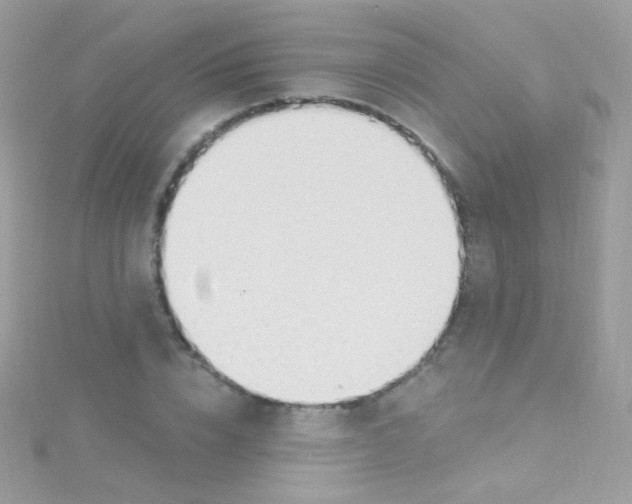 X0000115420832200911241346