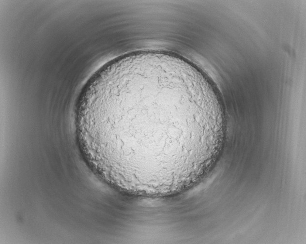 X0000115420835200911241346