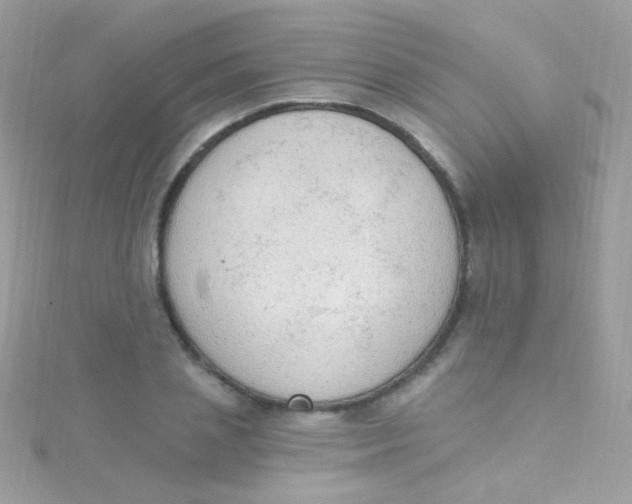 X0000115420837200911241346