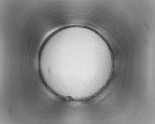 X0000115420838200911241346