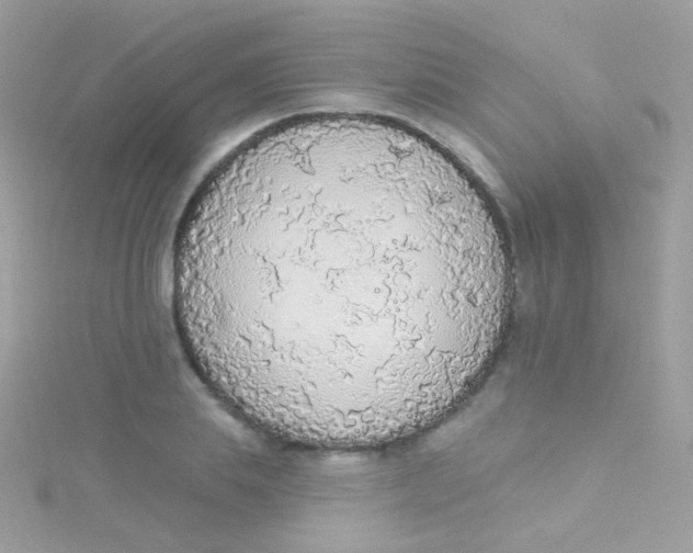 X0000115420839200911241346